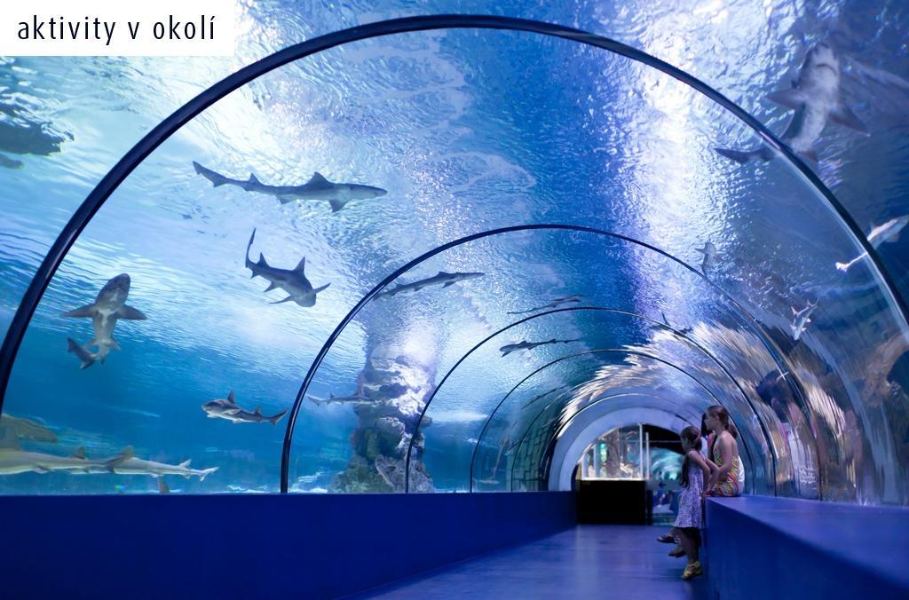 Azak Hotel