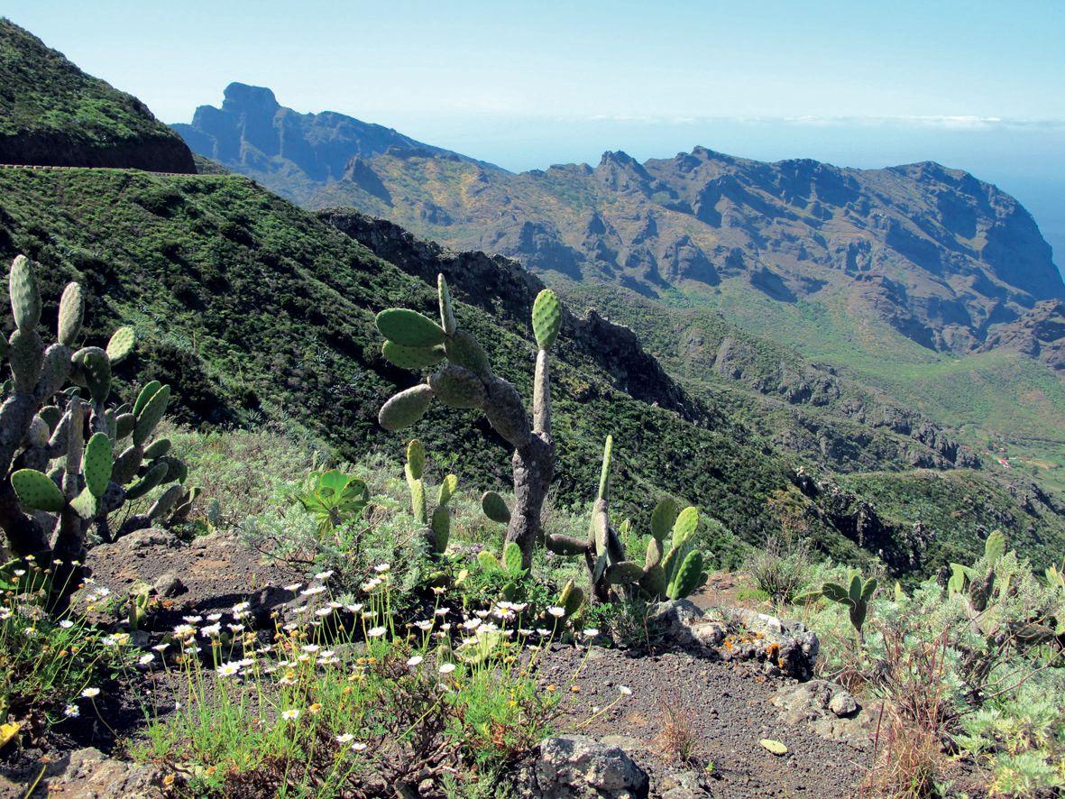 Tenerife s trekingem - turistika mezi sopkami a exotickými soutěskami