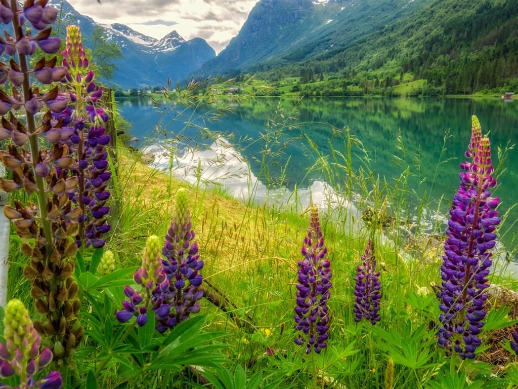 Zlatá Cesta Severu A Srdce Norských Fjordů