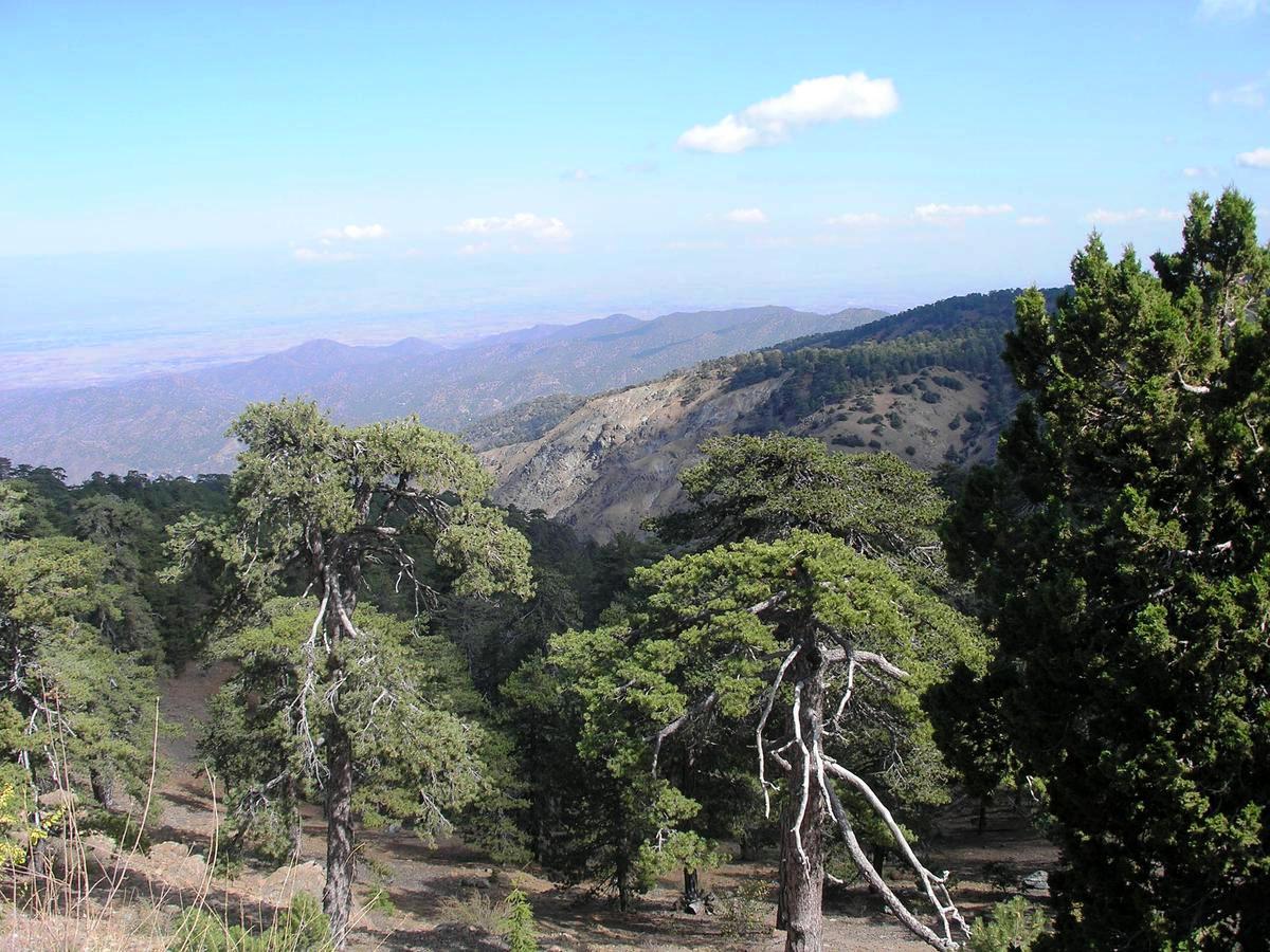 Kypr - ostrov dvou tváří