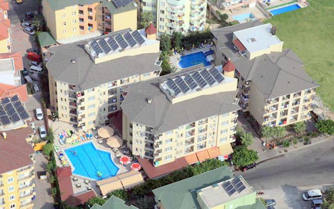 Kleopatra Royal Palm