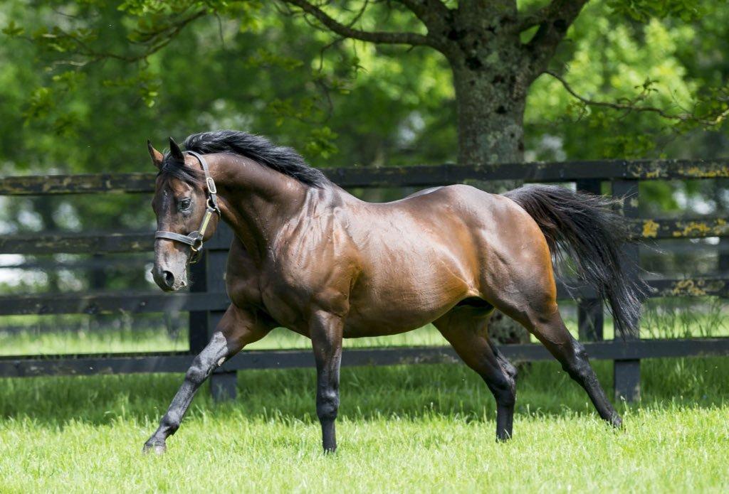 Irsko letecky (fly and drive)