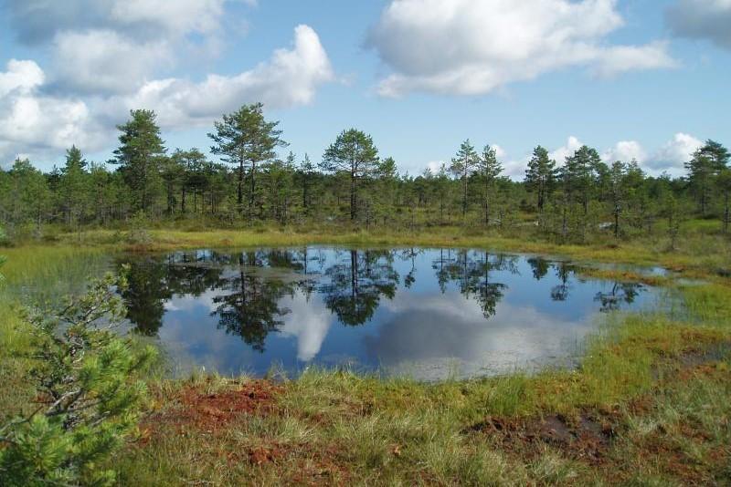 Pobaltí - Májový Eurovíkend