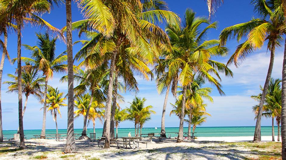 Florida letecky (fly and drive)