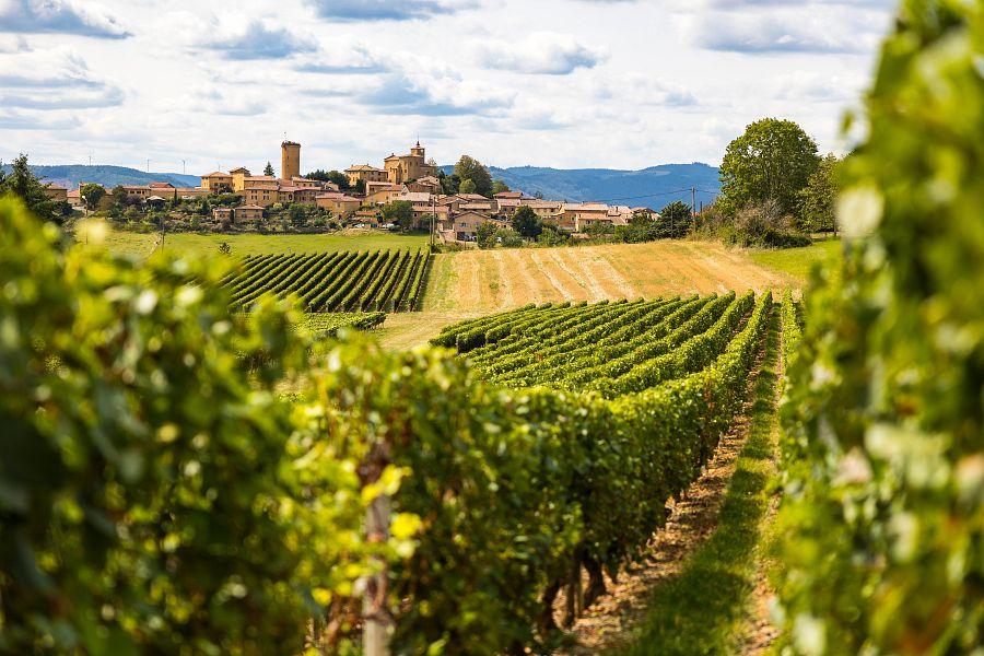 To Nejkrásnější Z Lyonu + Středověké Annecy + Vinařská Oblast Beaujolais (Leteck