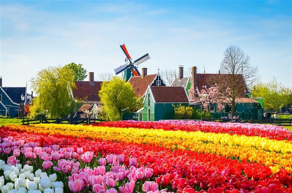 Amsterdam a Květinový park Keukenhof