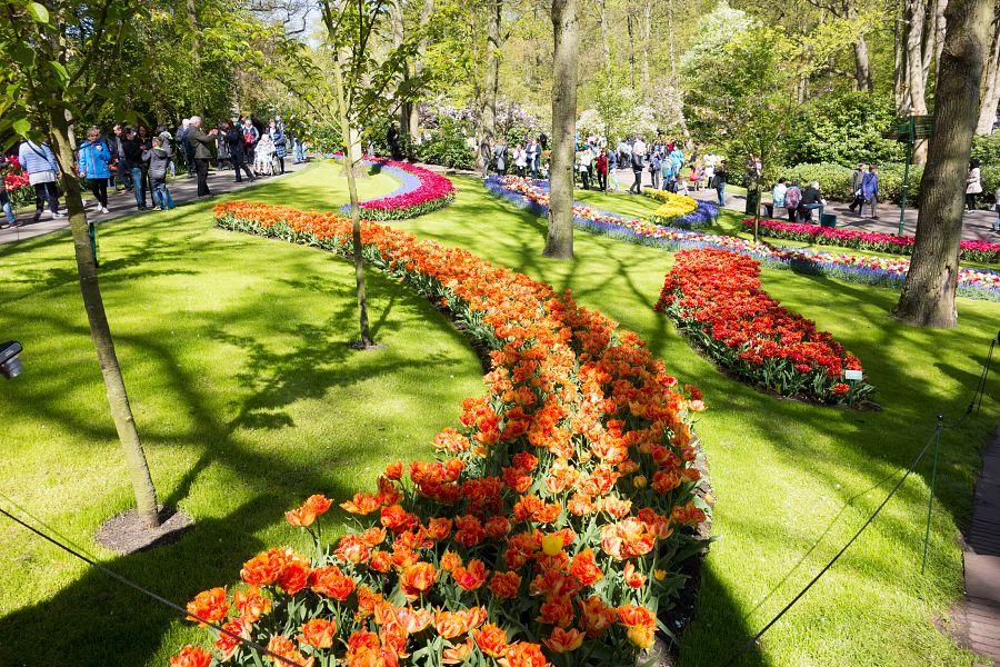 To nejlepší z Amsterdamu + KVĚTINOVÁ ZAHRADA KEUKENHOF