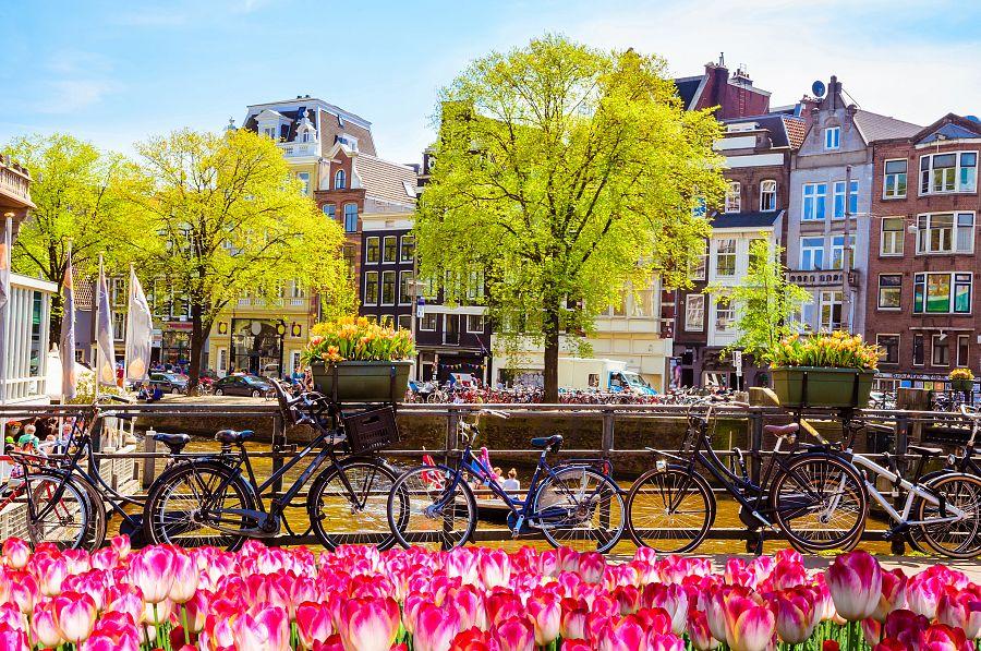 Velikonoční Amsterdam + KVĚTINOVÁ ZAHRADA KEUKENHOF + SLAVNÁ MUZEA (letecky z Os