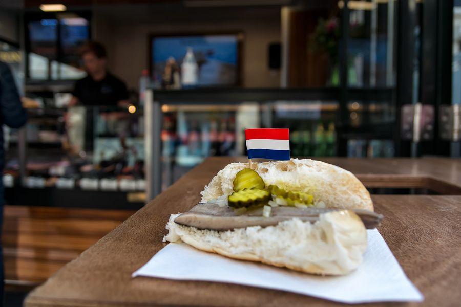 Královské Holandsko + Významné Umělecké Sbírky + Moderní Rotterdam