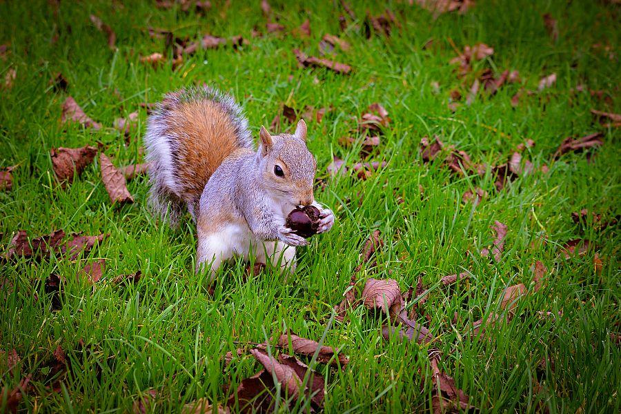 To nejlepší z Londýna + HARRY POTTER + OXFORD (letecky z Prahy)