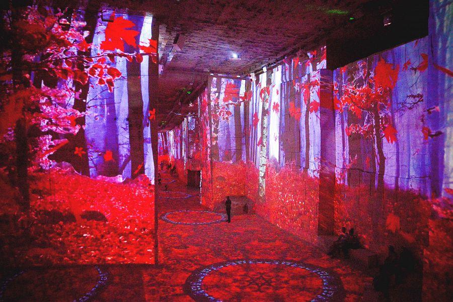 To nejkrásnější z Provence + MARSEILLE + OPATSTVÍ SÉNANQUE