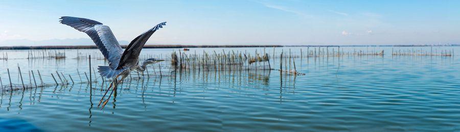 To nejlepší z Valencie + JEZERO ALBUFERA + PLÁŽ LAS ARENAS (letecky z Prahy)