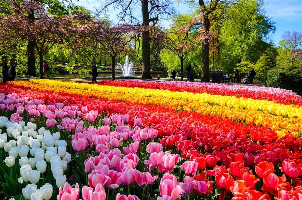 Amsterdam a Květinový park Keukonhof