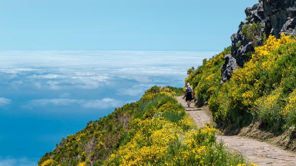 Madeira - turistika přes levády až k oceánu, odlet z Prahy