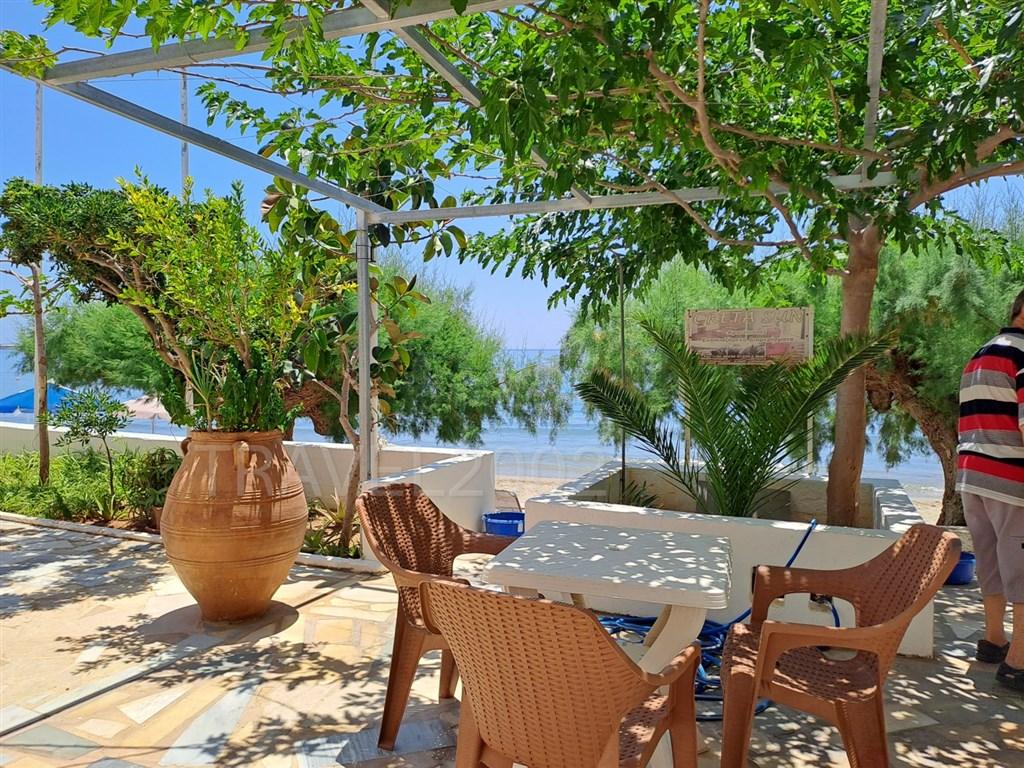 Creta Sun Beachfront