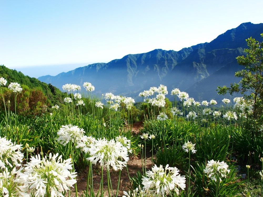 Madeira – Exotický Ráj