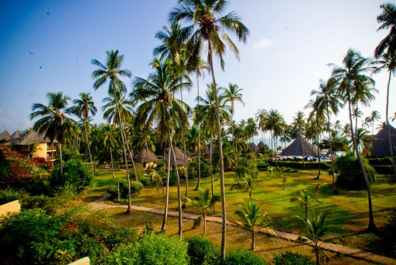 Ocean Paradise Resort & Spa – fotka 7