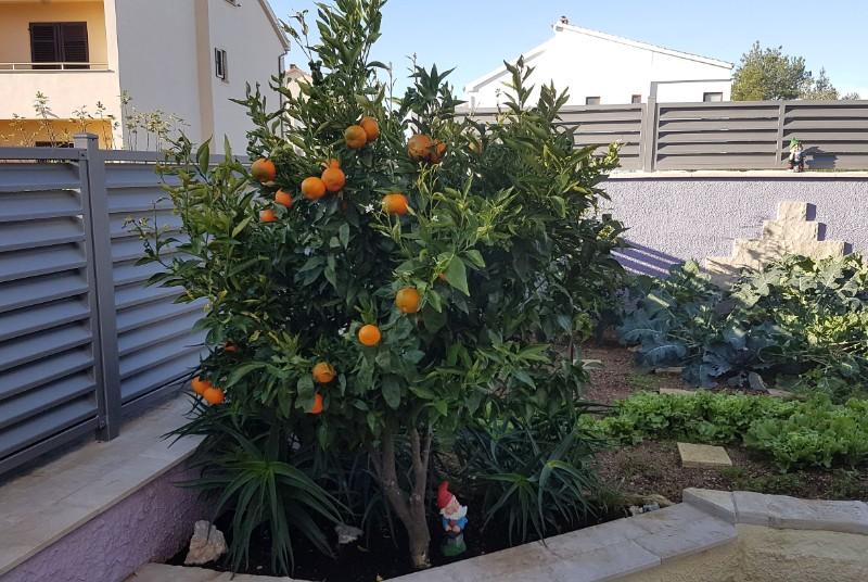 Apartments And Rooms Slavica