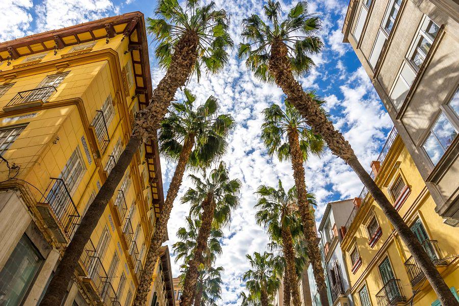 To Nejlepší Z Málagy + Přírodní Park El Torcal + Bílá Městečka Andalusie