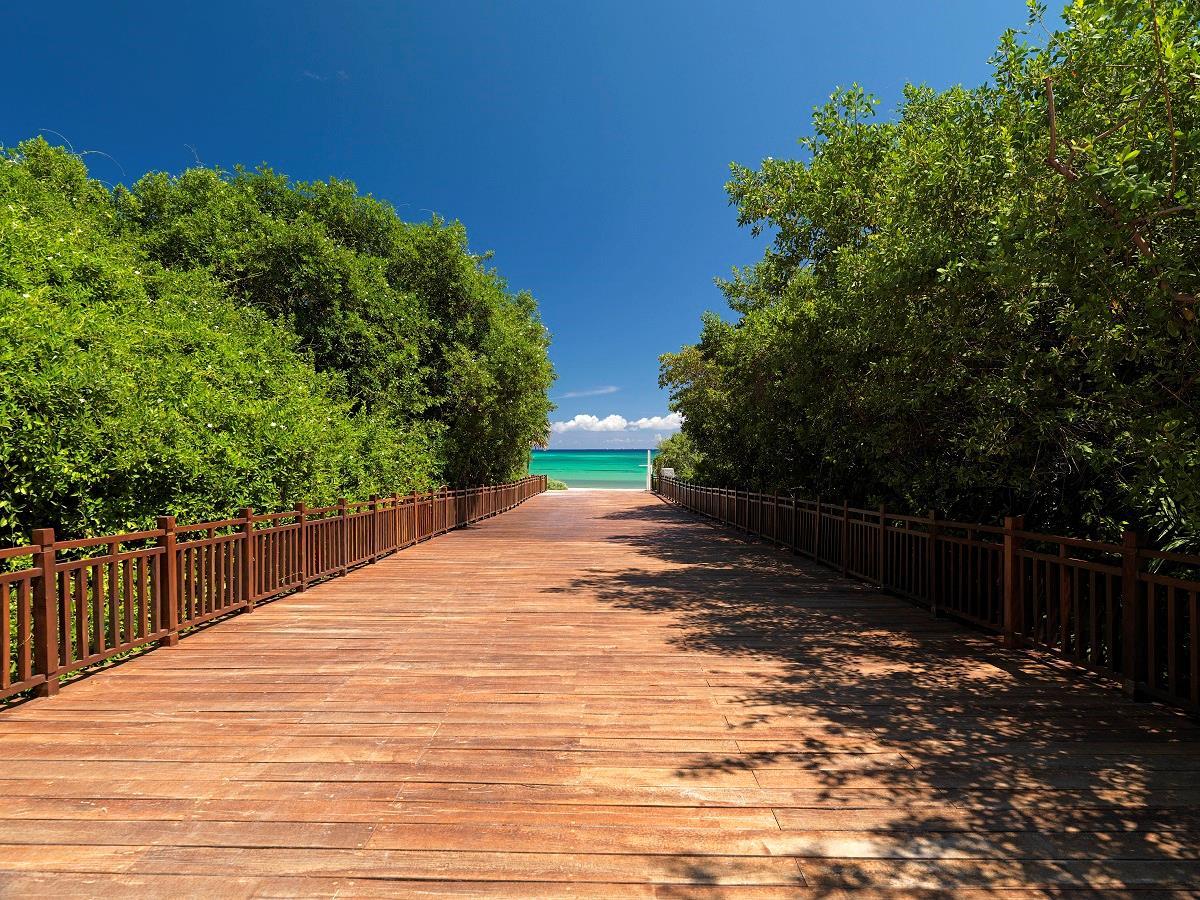 Paradisus Playa del Carmen – fotka 7