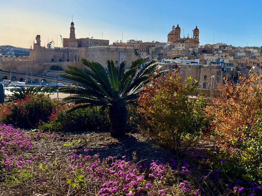 Barevná MALTA – ostrov rytířů, megalitů a azurového moře