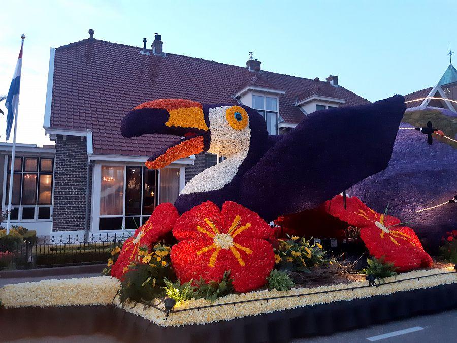 To nejlepší z Amsterdamu + KVĚTINOVÉ KORZO
