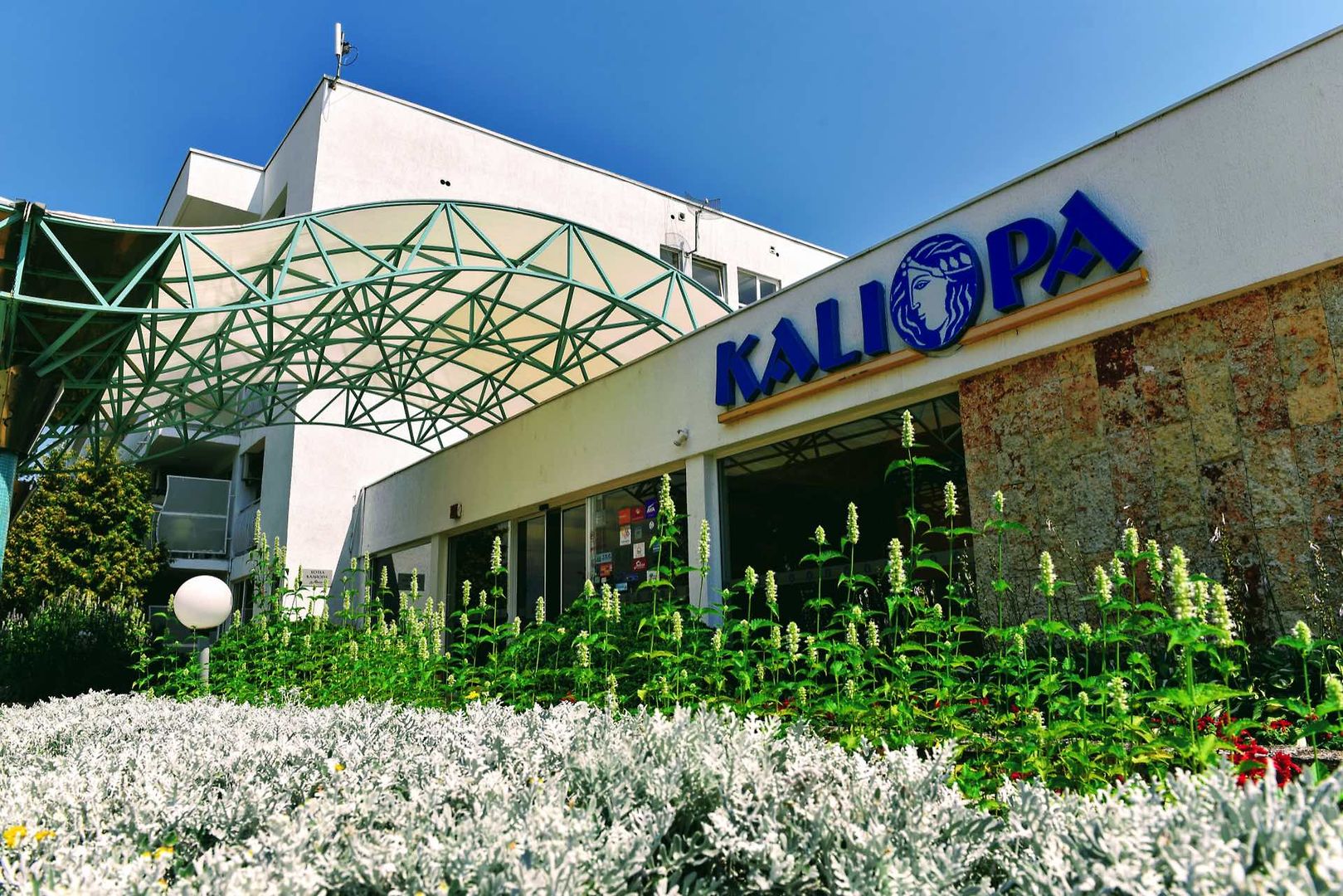 Kaliopa