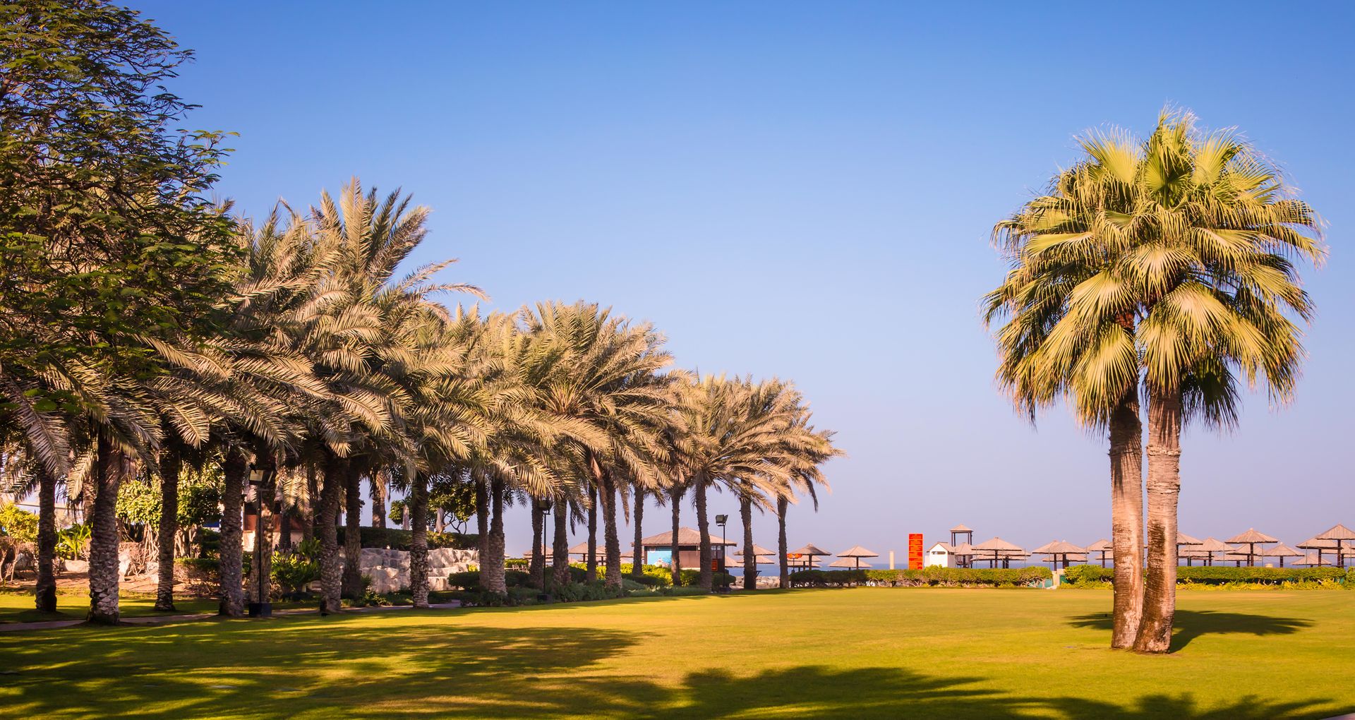 Coral Beach Resort Sharjah – fotka 5