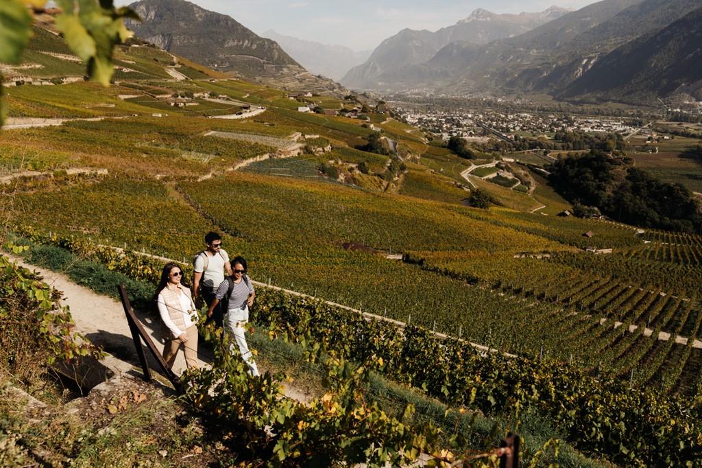 Švýcarsko letecky - Matterhorn, ledovce i víno s vlaky a lanovkami v ceně