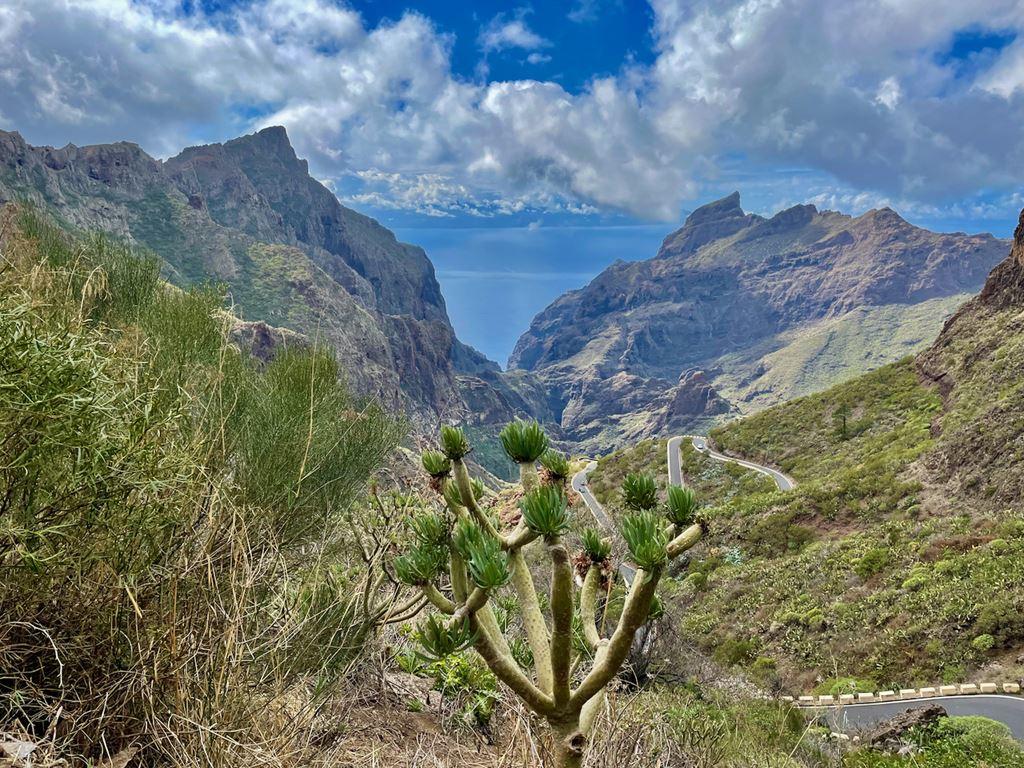 Tenerife: Za velkolepým hadincem teidským
