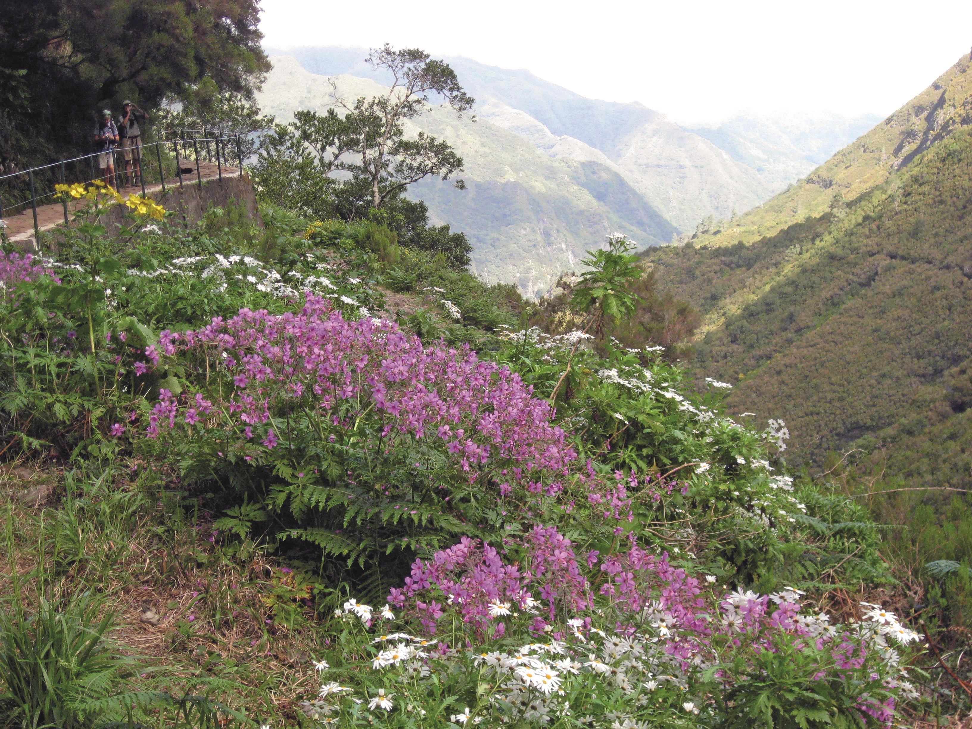 Madeira, místa známá i neznámá - trekking