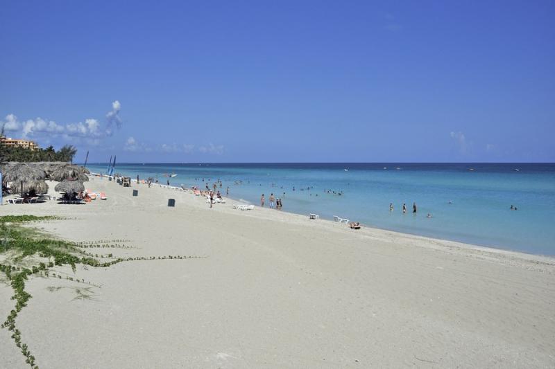 Sol Palmeras