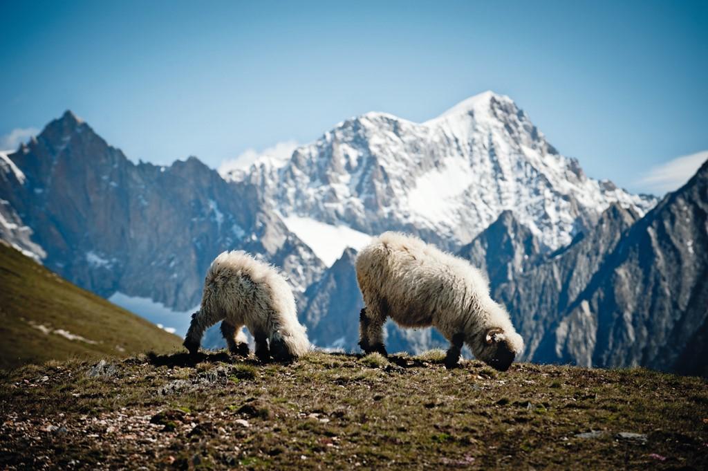 Švýcarsko letecky - Matterhorn, ledovce i víno s vlaky a lanovkami v ceně