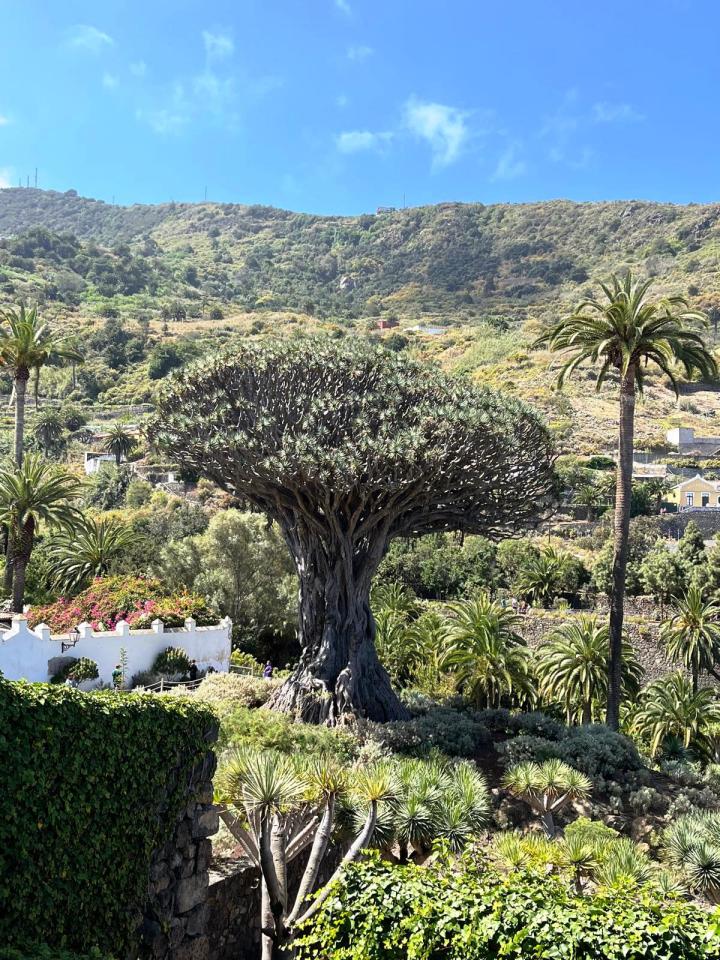 Kanárské ostrovy Tenerife a La Gomera