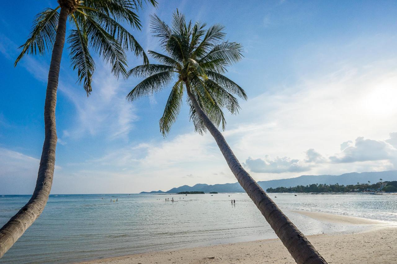 Kombinace - Chaba Cabana Beach Resort & Spa***, Ko Samui - Chaweng, Koh Tao Coral Grand Resort ***,