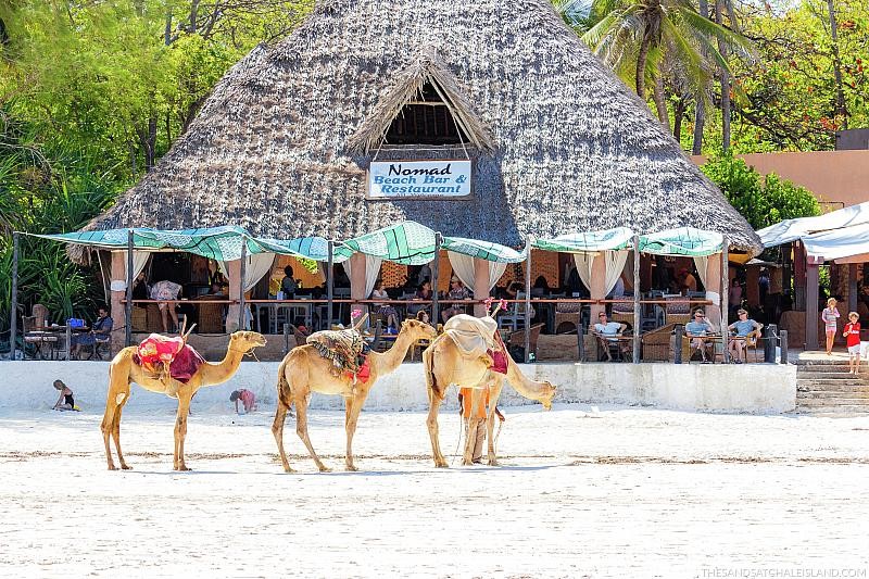 The Sands at Nomad