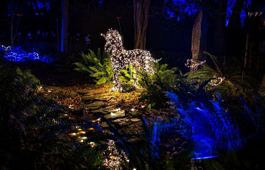 Adventní Málaga + Vánoční Světelná Botanická Zahrada