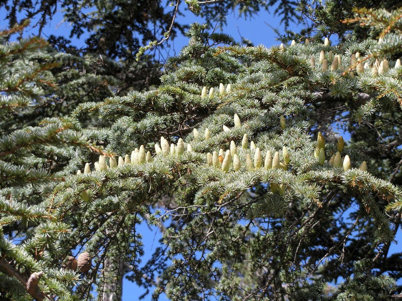 Kypr - ostrov dvou tváří