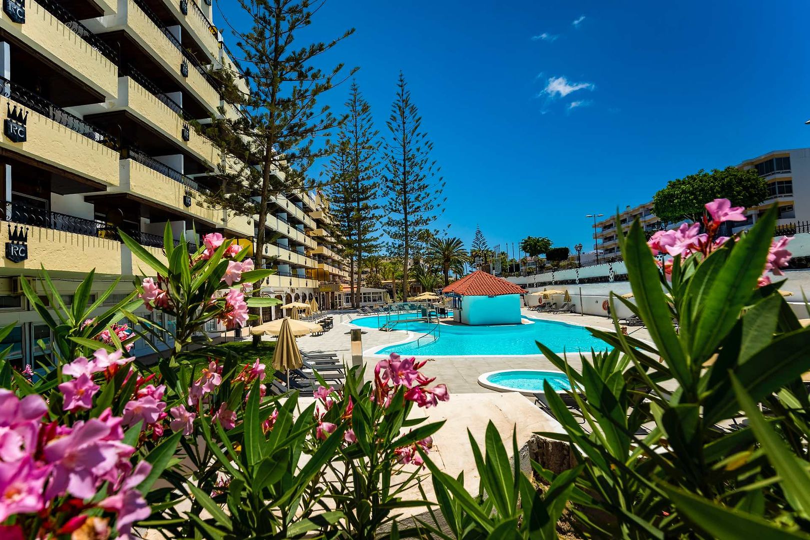 Hotel Hotel Rey Carlos