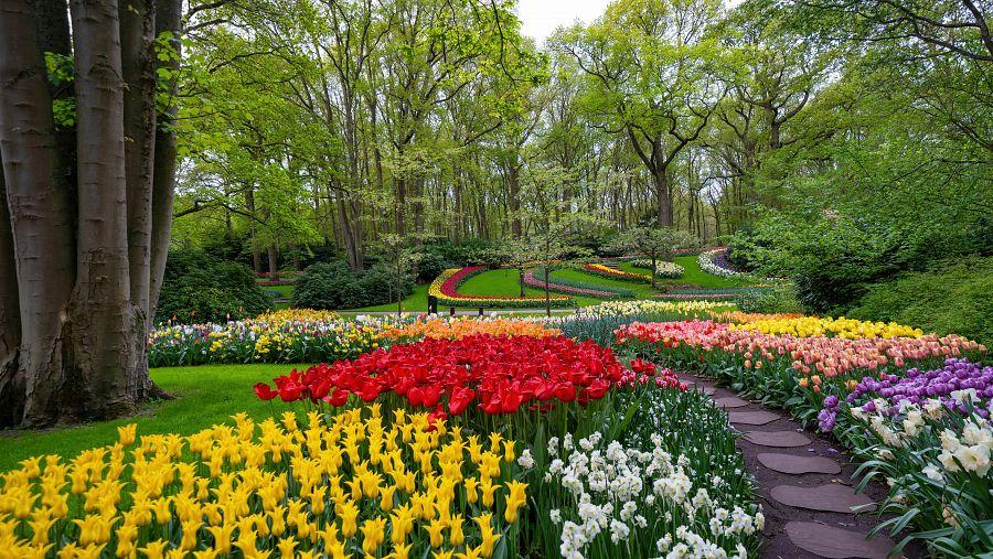 Velikonoční Amsterdam + KVĚTINOVÁ ZAHRADA KEUKENHOF + SLAVNÁ MUZEA (letecky z Os