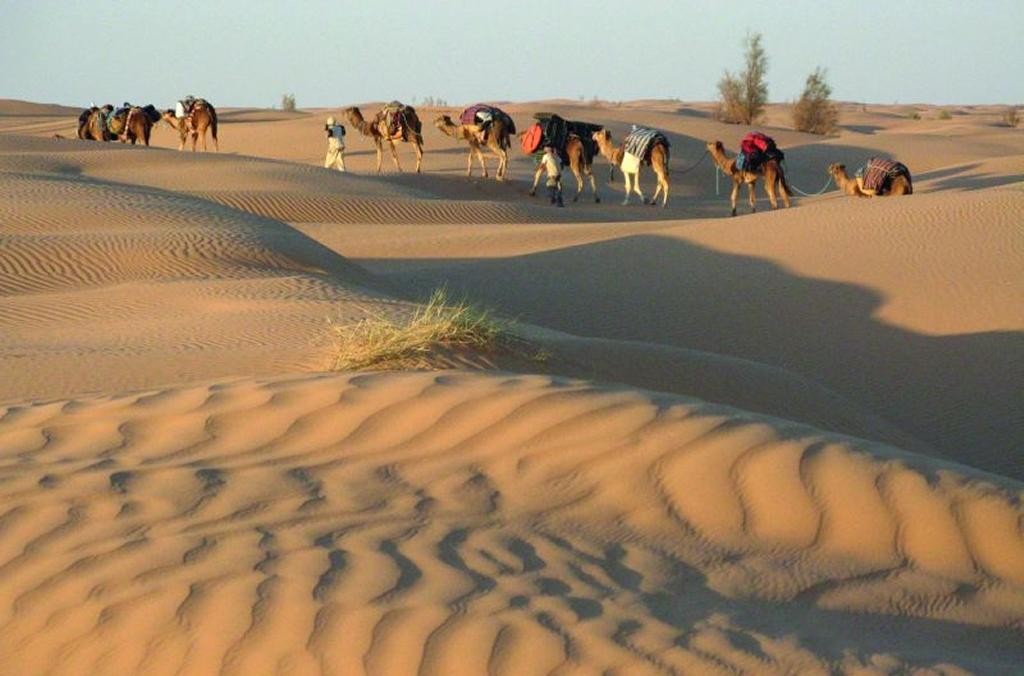 Okruh Saharou na velbloudech