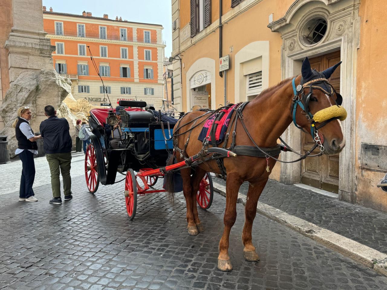Řím pro náročné - letecky