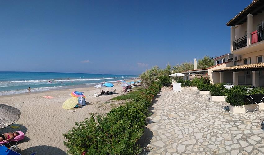 Studia Pelagia