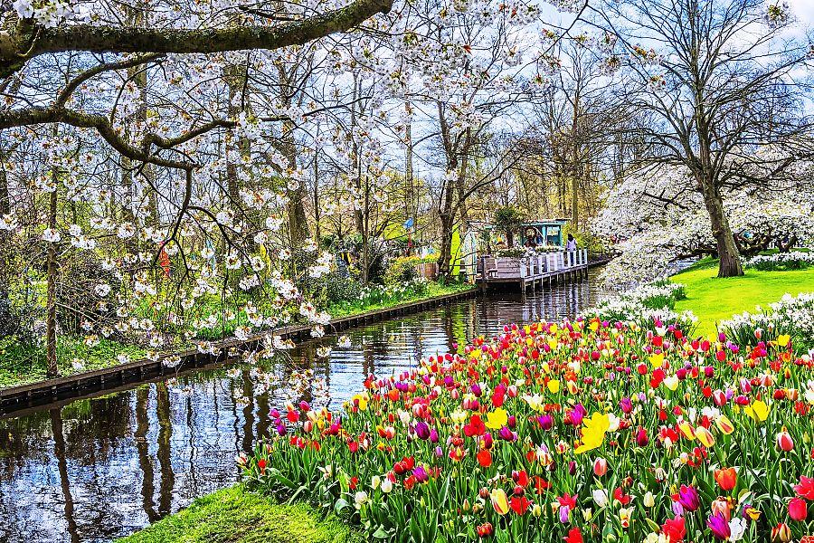 To nejlepší z Amsterdamu + KVĚTINOVÁ ZAHRADA KEUKENHOF