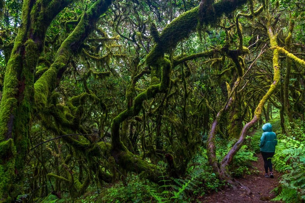 La Gomera – pěšky napříč zapomenutým klenotem Kanárů, odlet z Prahy