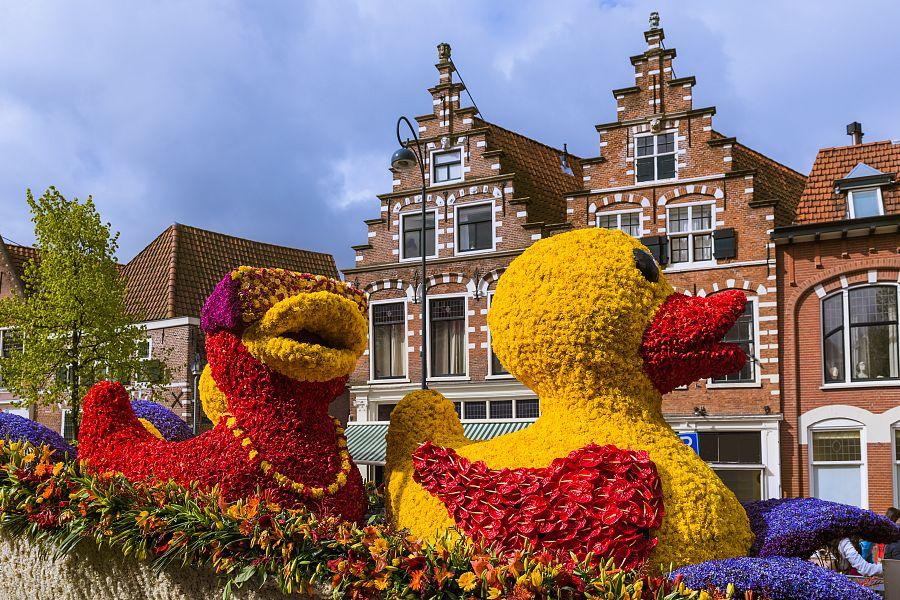 To nejlepší z Amsterdamu + KVĚTINOVÉ KORZO