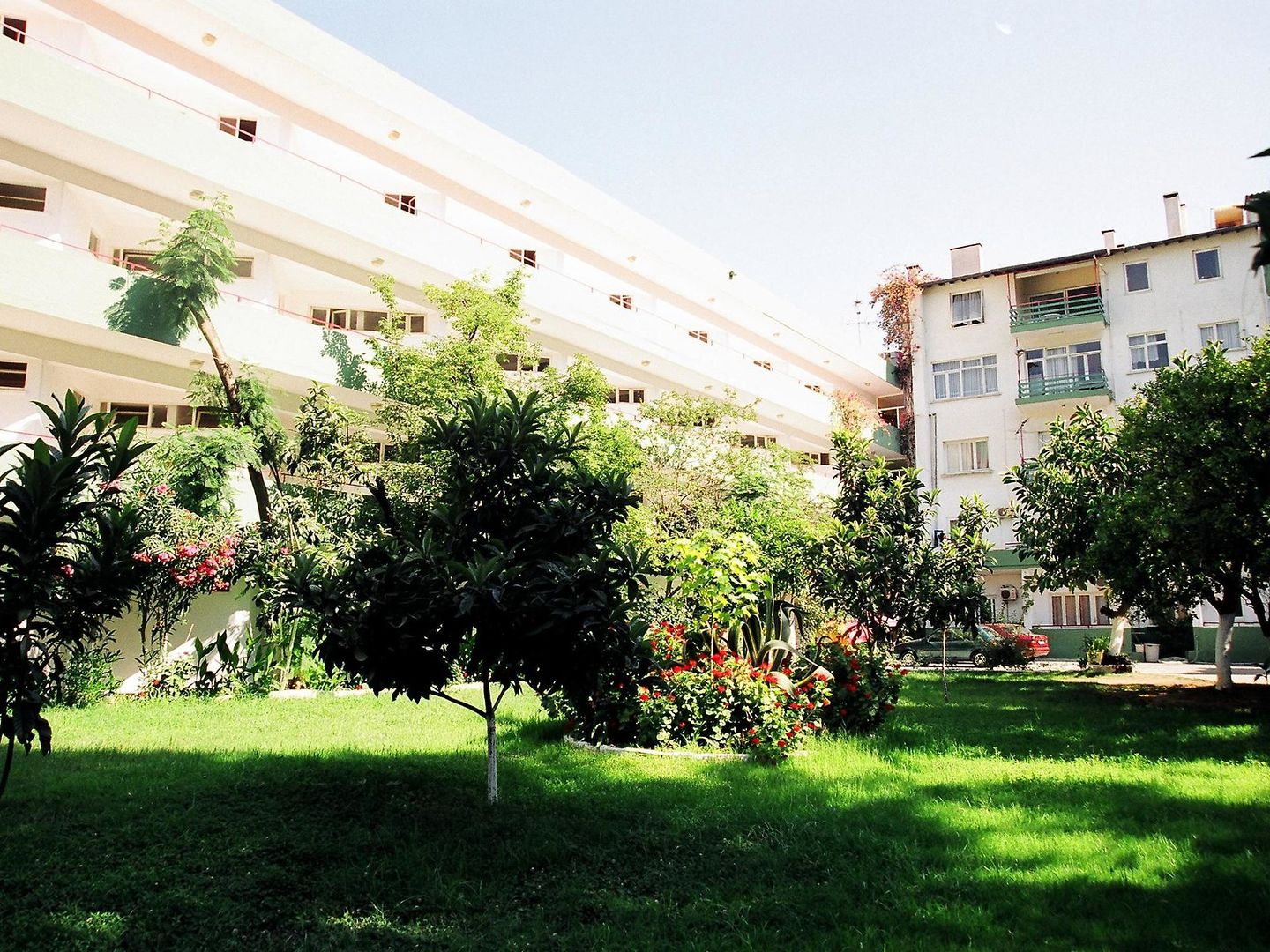 Arsi Enfi City Beach – fotka 5