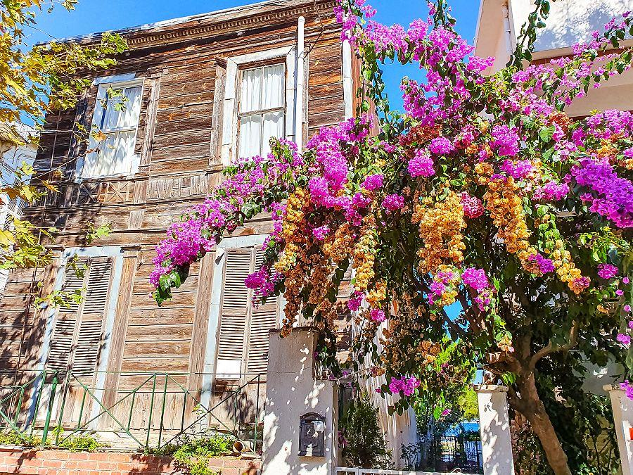 To nejlepší z Istanbulu + Princovy ostrovy + moře (letecky z Prahy)