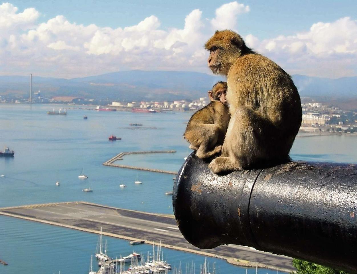 Andalusie letecky (fly and drive)