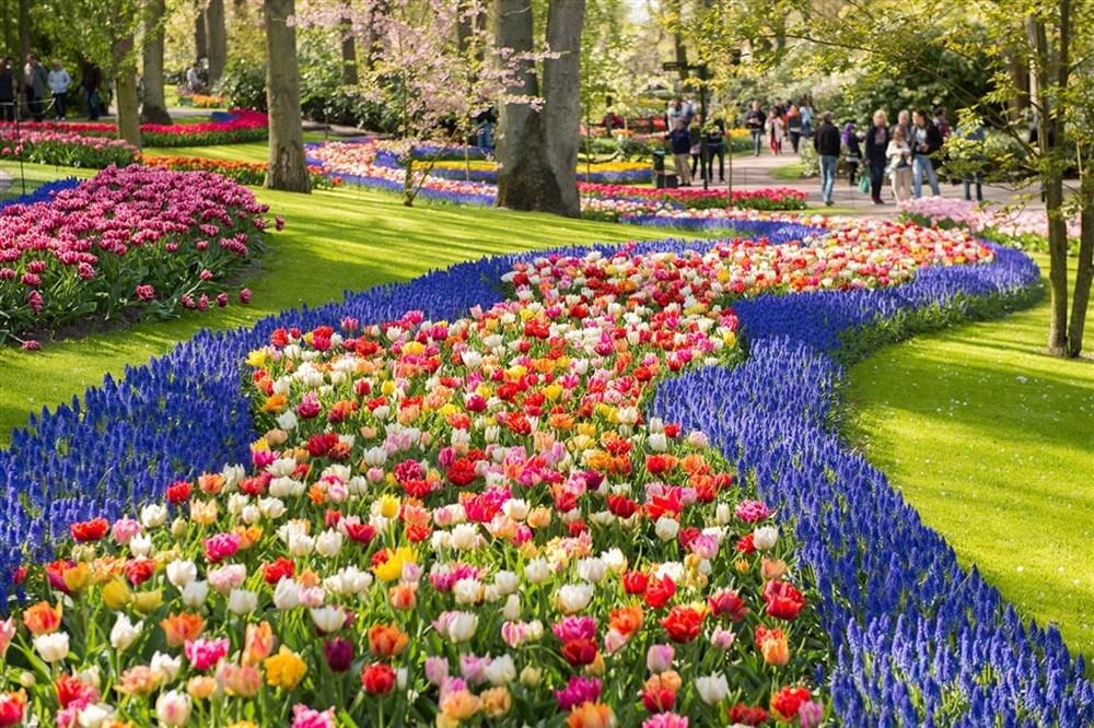 Amsterdam a Květinový park Keukenhof